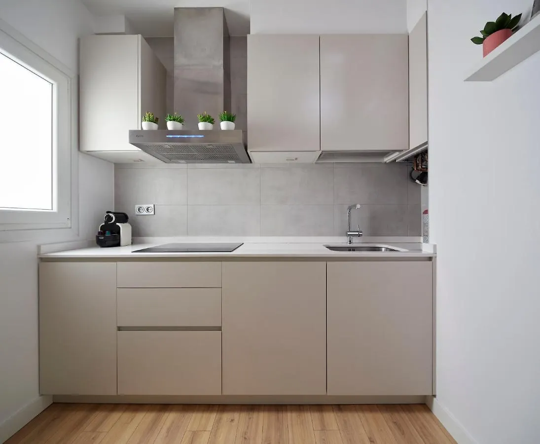 Concha Suite Brand New & Style San Sebastian